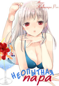 4511