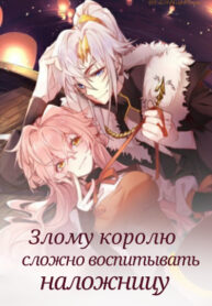 7248