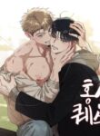 Cover 100463