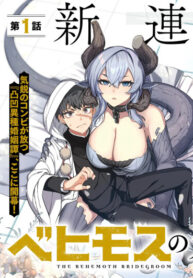 Cover 101687