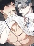 Cover 101781