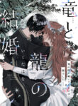 Cover 102091