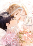 Cover 102536