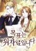 Cover 102560