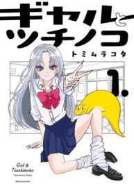 Cover 103724