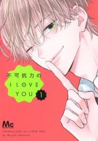 Cover 104100