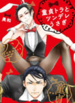 Cover 105172