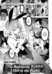 Cover 105382
