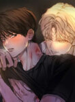 Cover 105476