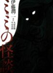 Cover 20294