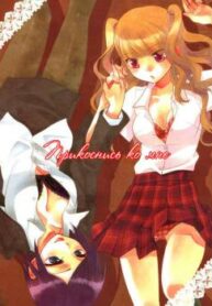 Cover 20641
