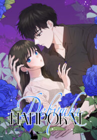 Cover 20682