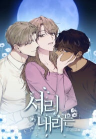 Cover 20683