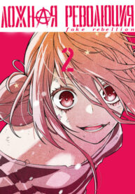 Cover 20712