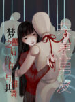 Cover 20733