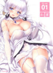 Cover 20739