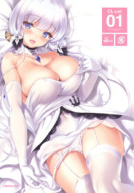 Cover 20739