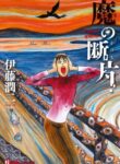 Cover 21048