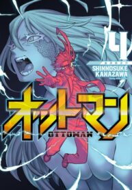 Cover 21118
