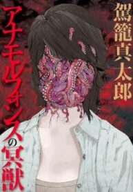 Cover 21240