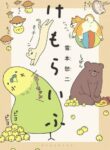 Cover 21538