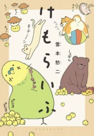Cover 21538