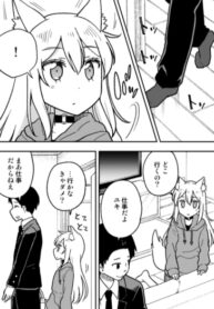 Cover 21702