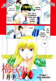 Cover 21806
