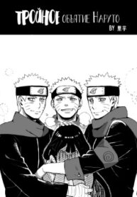 Cover 22160