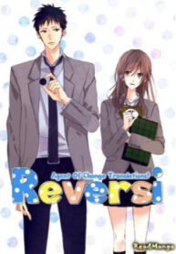 Cover 22262