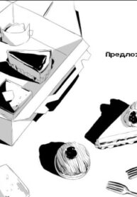 Cover 22264