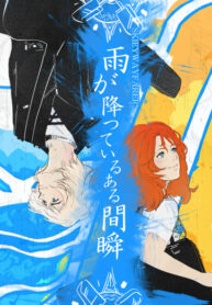 Cover 22304