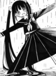 Cover 22322