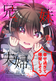 Cover 22330