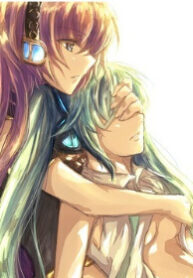 Cover 22537