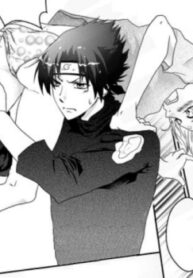 Cover 22545