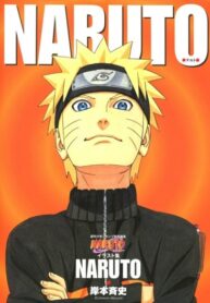 Cover 22566