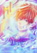 Cover 22609