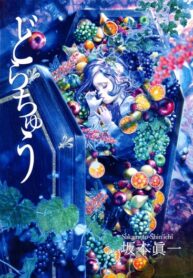 Cover 22696