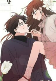 Cover 22896