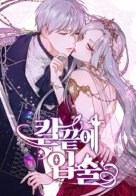 Cover 23118