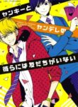 Cover 23204