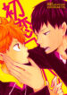 Cover 23918