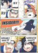 Cover 24096