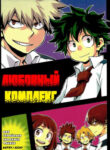 Cover 24244