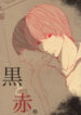 Cover 24264