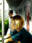 Cover 24290