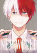 Cover 24410
