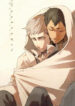 Cover 24480