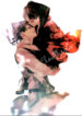 Cover 24534
